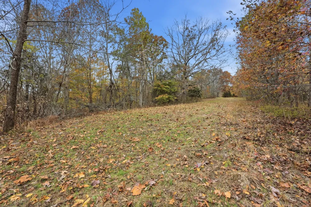 0 Vaughn Lane Indian Mound, TN 37079