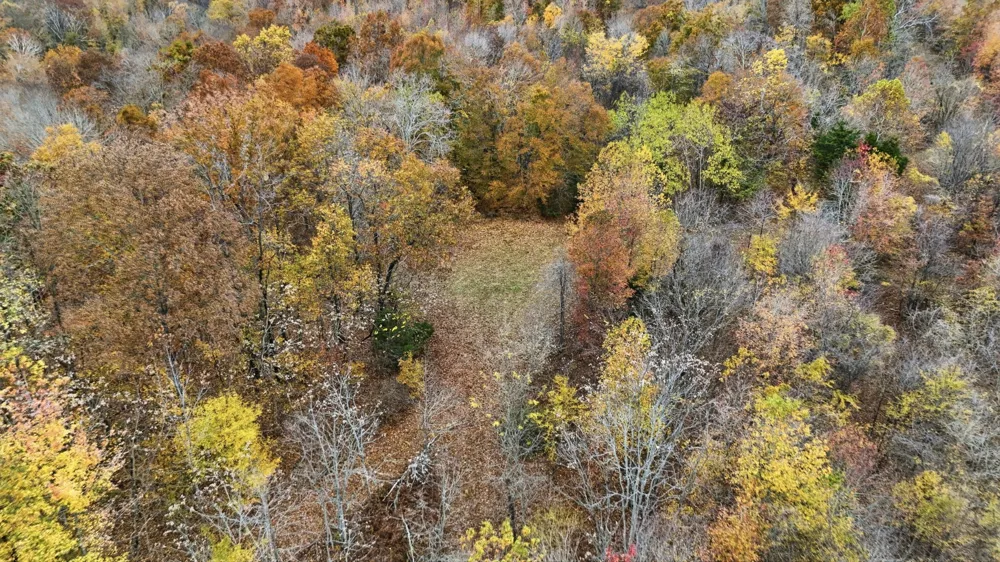 0 Vaughn Lane Indian Mound, TN 37079