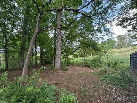 1012 Saint Johns Dr