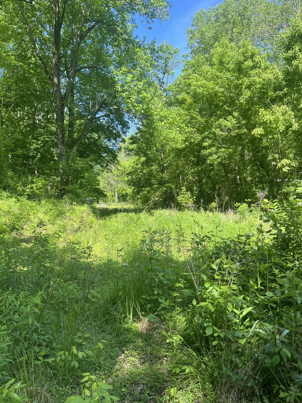 0 Hawkins Rd Westmoreland, TN 37186