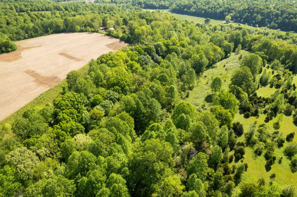 0 Hawkins Rd Westmoreland, TN 37186