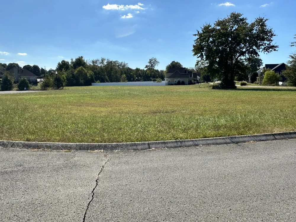 0 Stone Creek Blvd Mc Minnville, TN 37110