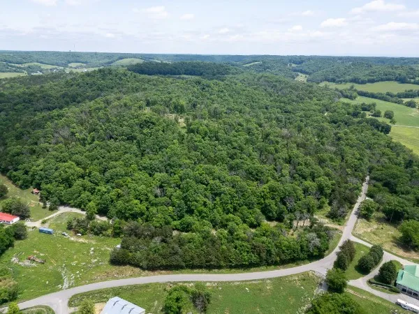 0 Goose Branch Rd Lynchburg, TN 37352