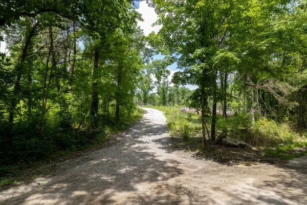 0 Goose Branch Rd Lynchburg, TN 37352