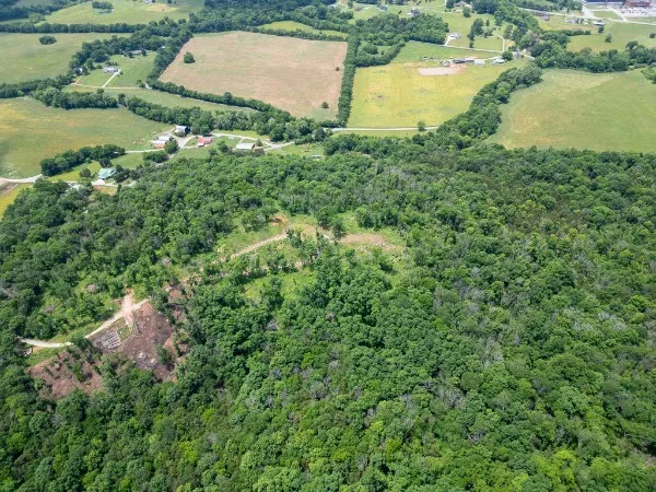 0 Goose Branch Rd Lynchburg, TN 37352