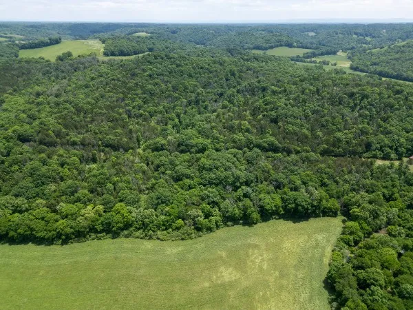 0 Goose Branch Rd Lynchburg, TN 37352