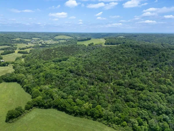 0 Goose Branch Rd Lynchburg, TN 37352