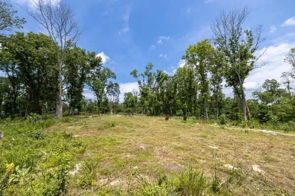 0 Goose Branch Rd Lynchburg, TN 37352