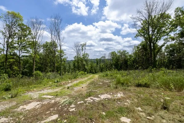 0 Goose Branch Rd Lynchburg, TN 37352