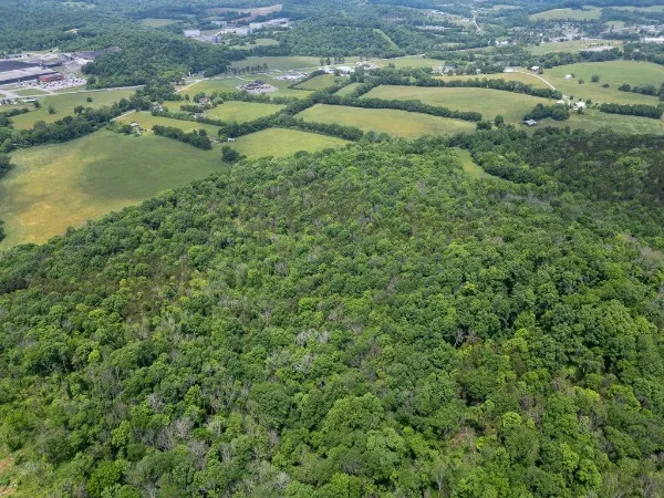 0 Goose Branch Rd Lynchburg, TN 37352