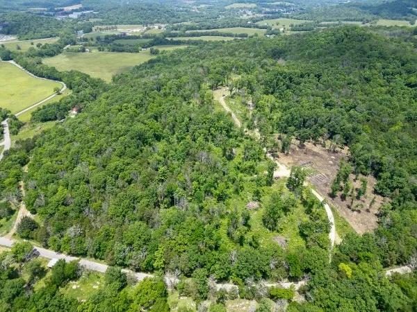0 Goose Branch Rd Lynchburg, TN 37352