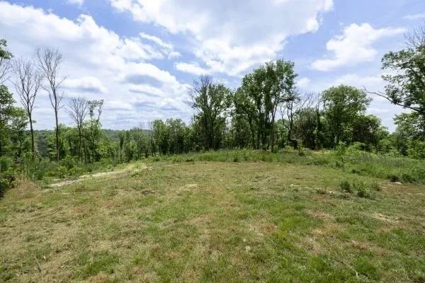 0 Goose Branch Rd Lynchburg, TN 37352