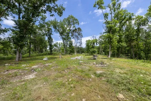 0 Goose Branch Rd Lynchburg, TN 37352