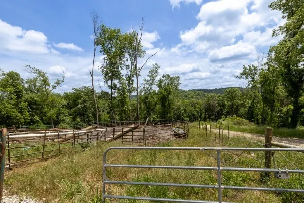0 Goose Branch Rd Lynchburg, TN 37352