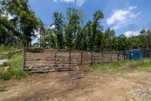 0 Goose Branch Rd Lynchburg, TN 37352