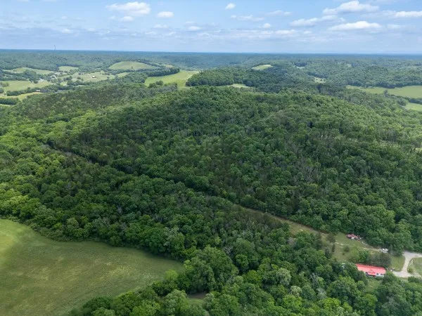 0 Goose Branch Rd Lynchburg, TN 37352