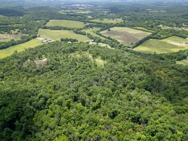 0 Goose Branch Rd Lynchburg, TN 37352