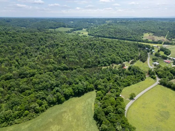 0 Goose Branch Rd Lynchburg, TN 37352