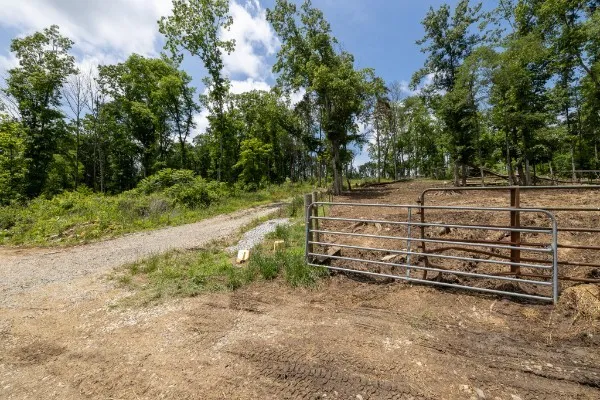 0 Goose Branch Rd Lynchburg, TN 37352