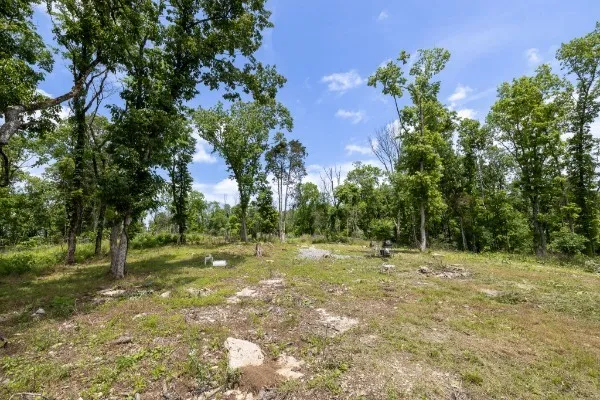 0 Goose Branch Rd Lynchburg, TN 37352