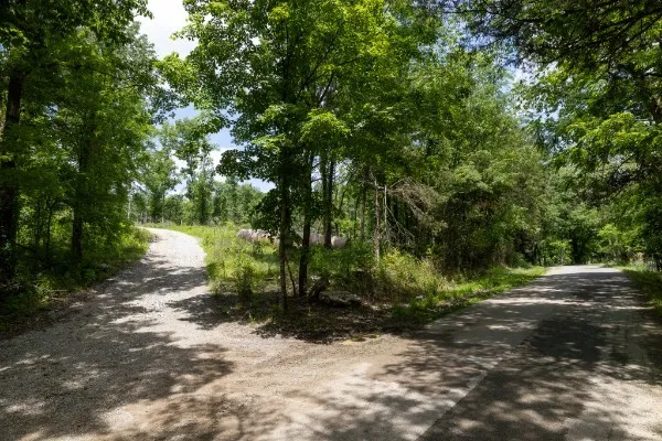 0 Goose Branch Rd Lynchburg, TN 37352