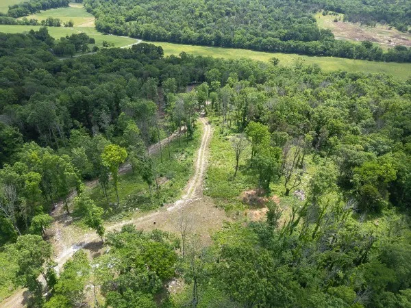 0 Goose Branch Rd Lynchburg, TN 37352