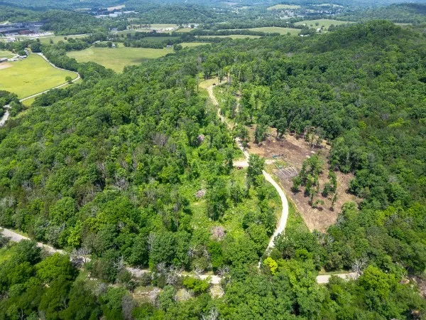 0 Goose Branch Rd Lynchburg, TN 37352