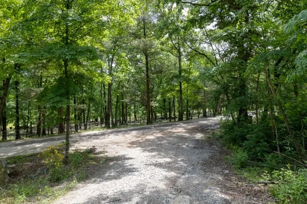 0 Goose Branch Rd Lynchburg, TN 37352