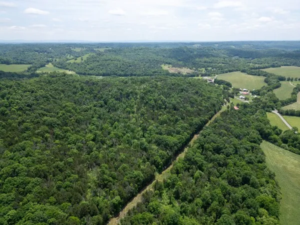 0 Goose Branch Rd Lynchburg, TN 37352