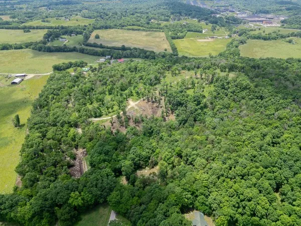 0 Goose Branch Rd Lynchburg, TN 37352