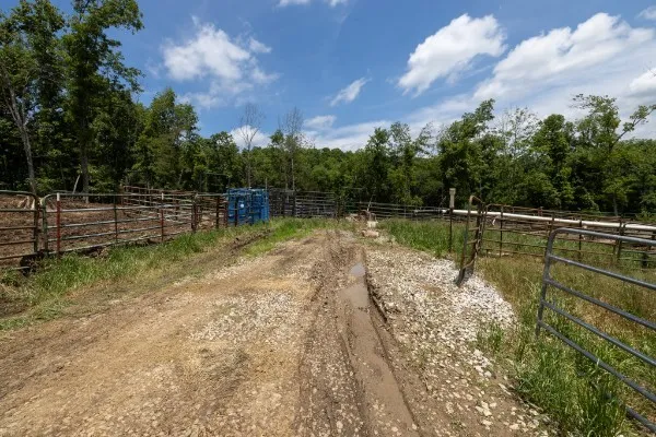 0 Goose Branch Rd Lynchburg, TN 37352