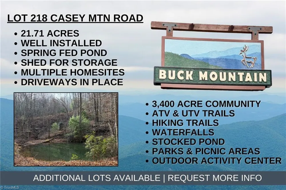 Lot 218 Casey Mountain Road Purlear, NC 28665