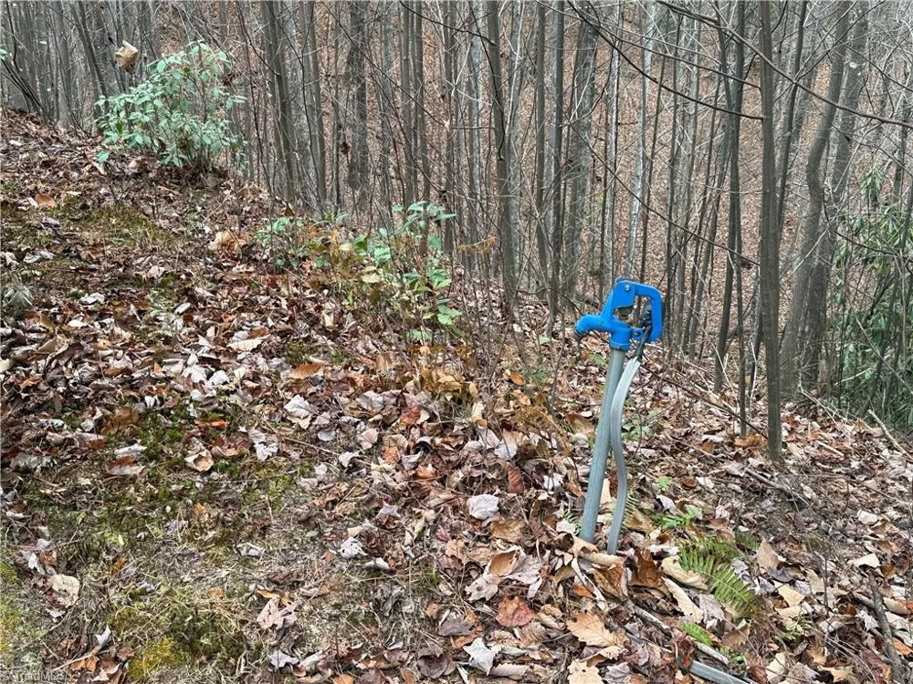 Lot 218 Casey Mountain Road Purlear, NC 28665