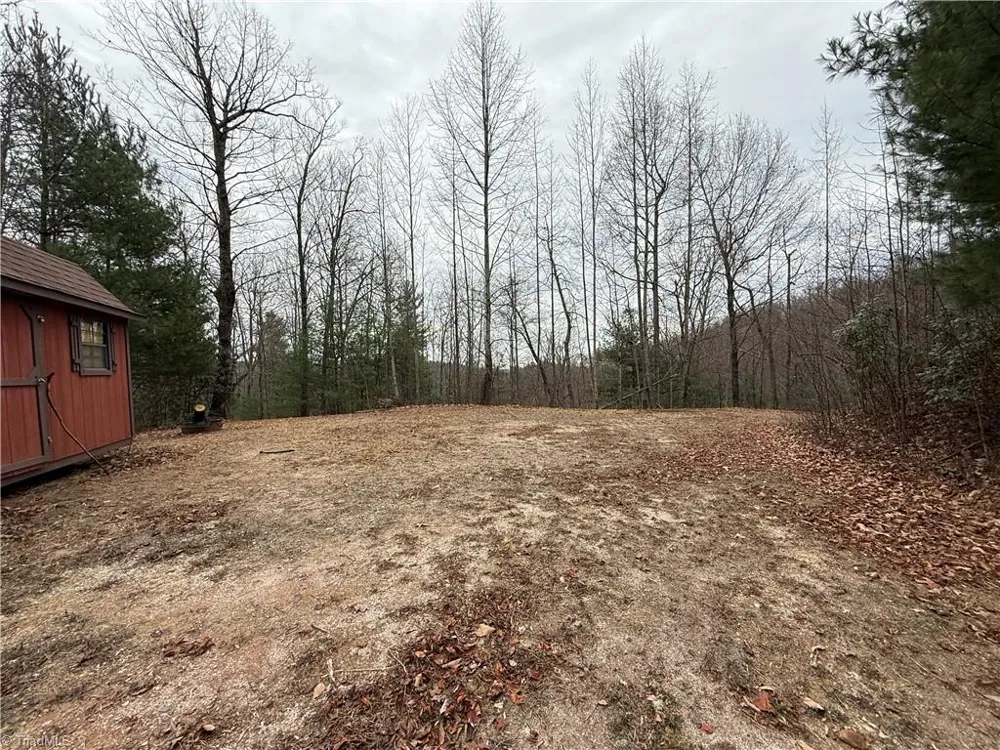 Lot 218 Casey Mountain Road Purlear, NC 28665