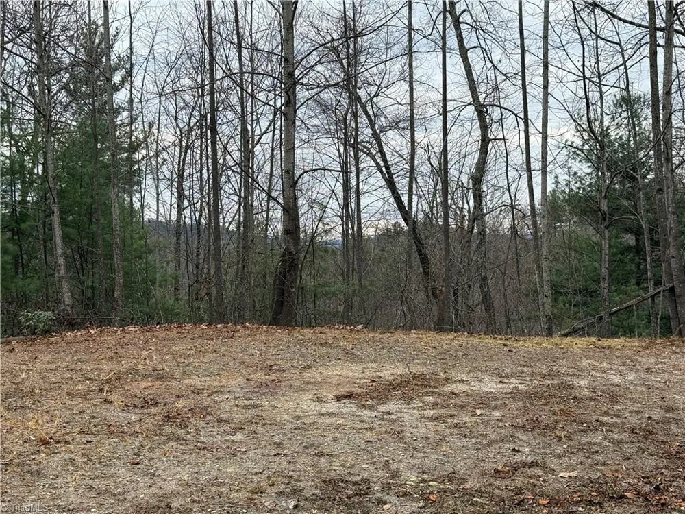 Lot 218 Casey Mountain Road Purlear, NC 28665