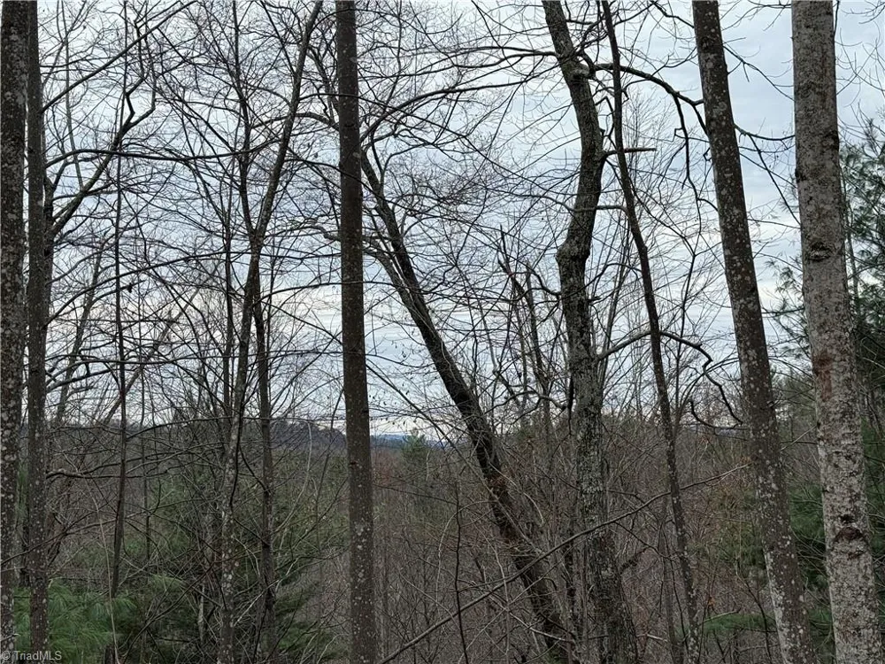 Lot 218 Casey Mountain Road Purlear, NC 28665