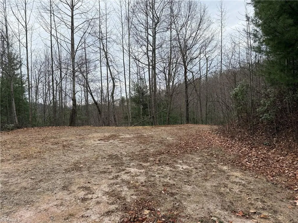 Lot 218 Casey Mountain Road Purlear, NC 28665