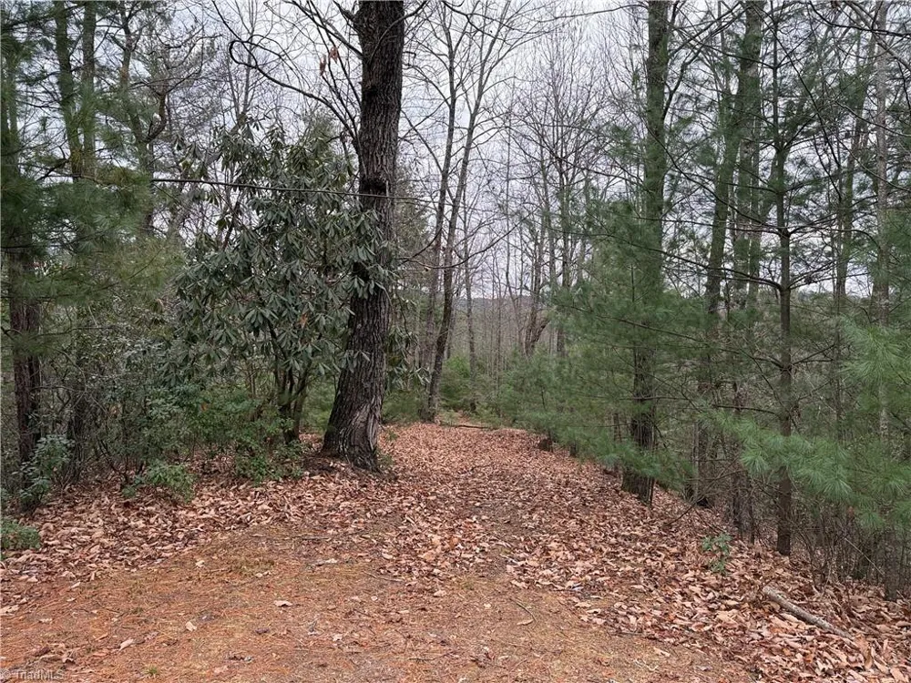Lot 218 Casey Mountain Road Purlear, NC 28665