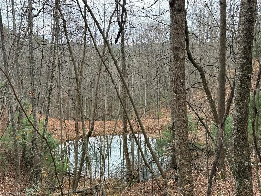 Lot 218 Casey Mountain Road Purlear, NC 28665