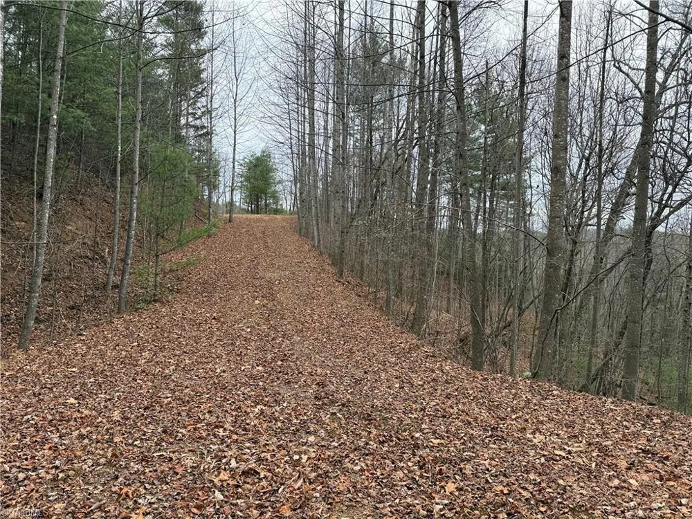 Lot 218 Casey Mountain Road Purlear, NC 28665