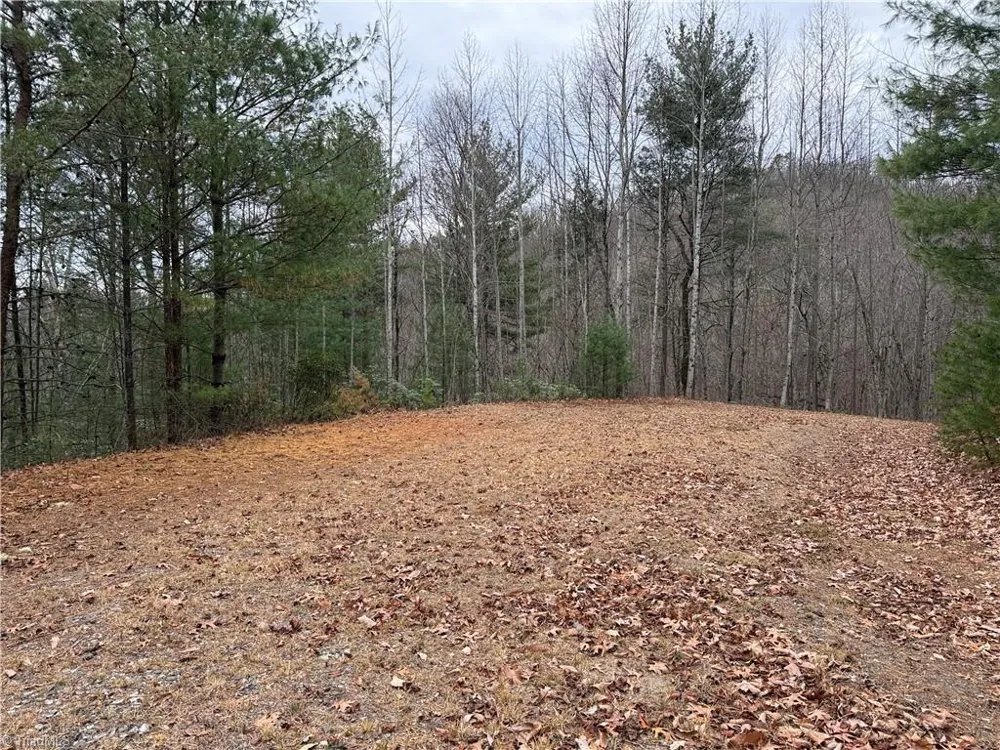 Lot 218 Casey Mountain Road Purlear, NC 28665