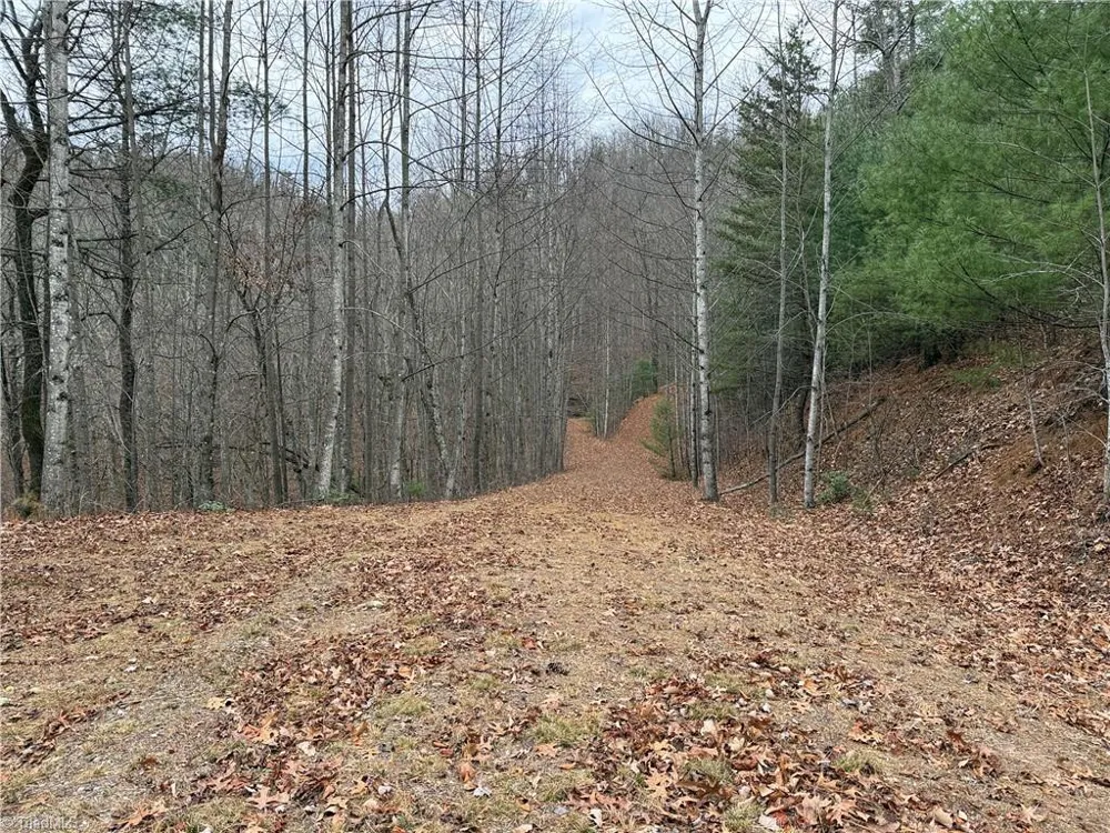 Lot 218 Casey Mountain Road Purlear, NC 28665