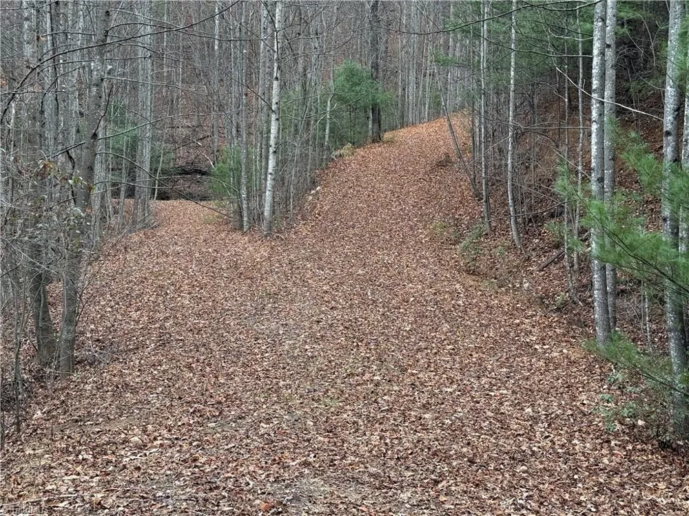 Lot 218 Casey Mountain Road Purlear, NC 28665