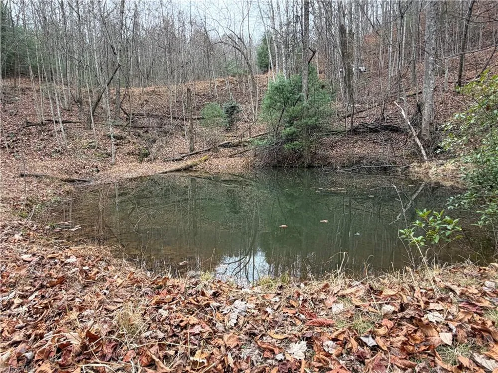 Lot 218 Casey Mountain Road Purlear, NC 28665