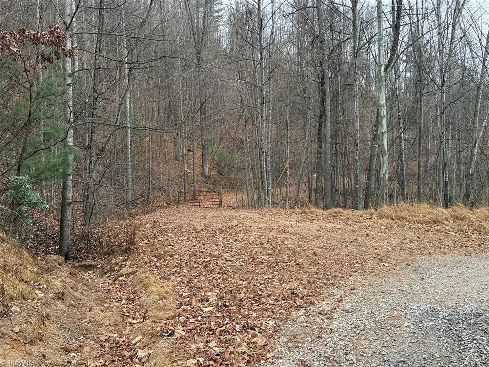 Lot 218 Casey Mountain Road Purlear, NC 28665