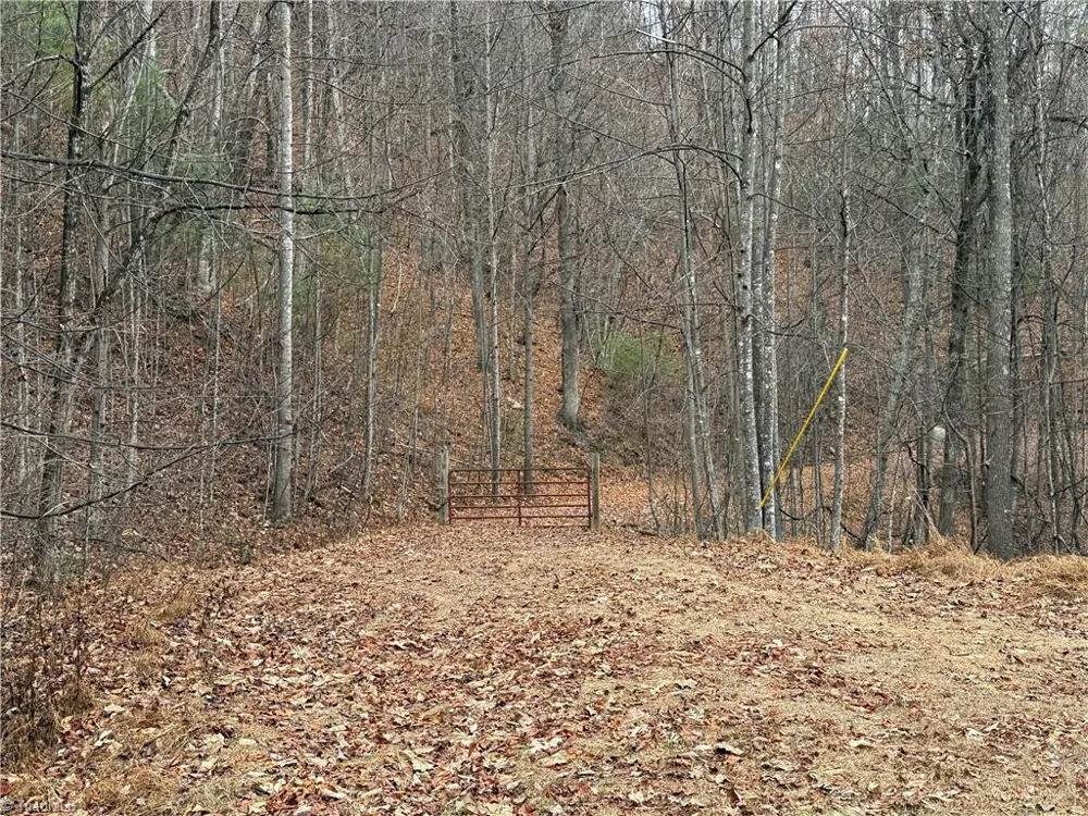 Lot 218 Casey Mountain Road Purlear, NC 28665