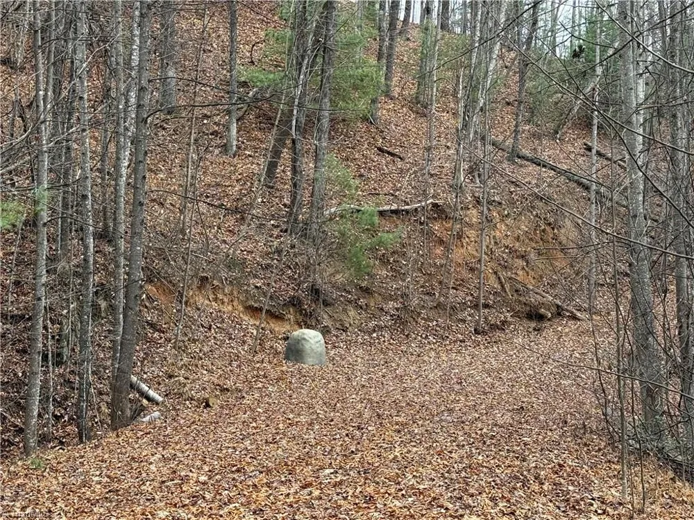 Lot 218 Casey Mountain Road Purlear, NC 28665