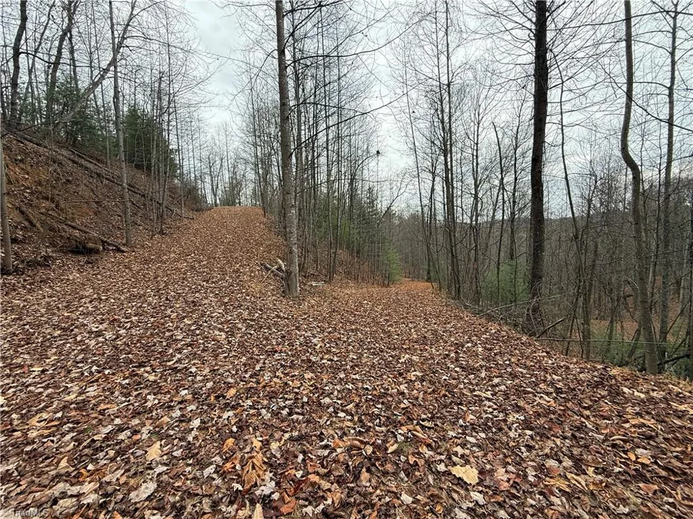 Lot 218 Casey Mountain Road Purlear, NC 28665