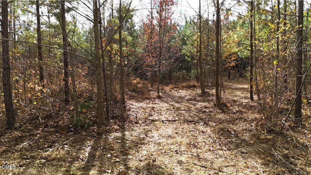 Lot 4 Bessie Daniel Road Roxboro, NC 27574