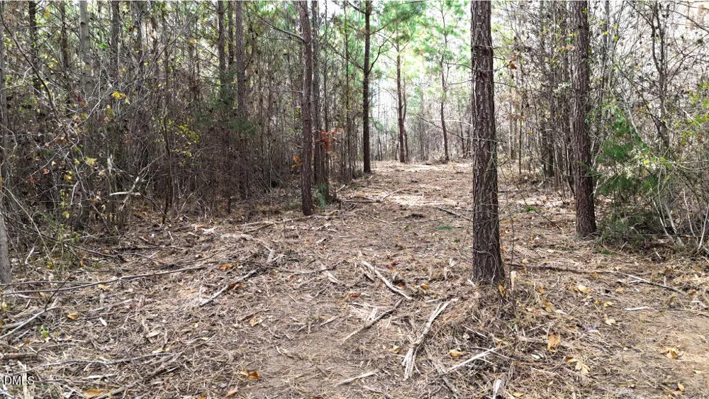 Lot 4 Bessie Daniel Road Roxboro, NC 27574